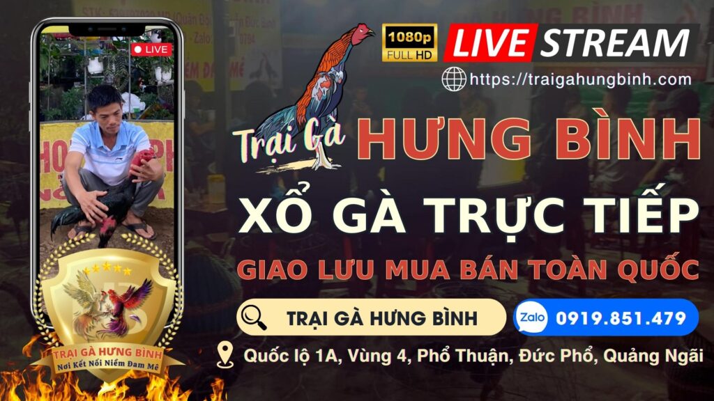 Video 20:33 ngày 20/8 – Trại Gà Hưng Bình